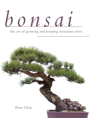 Bonsai: the art of growing and keeping miniature trees