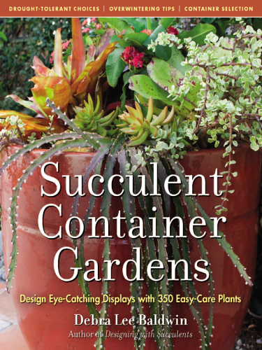 Succulent Container Gardens