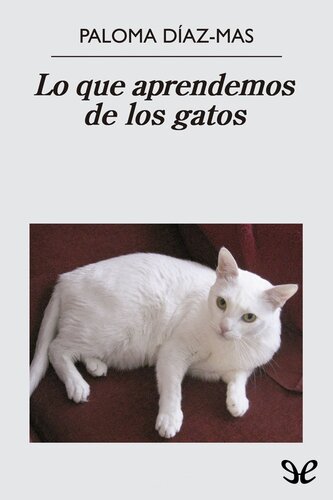 Lo que aprendemos de los gatos