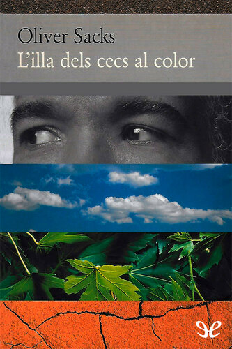 L'illa dels cecs al color