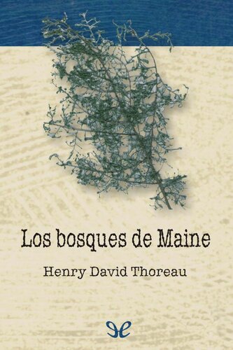 Los bosques de Maine