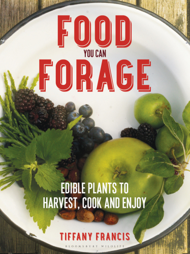 Food you can forage: edible plants to harvest, cook and enjoy