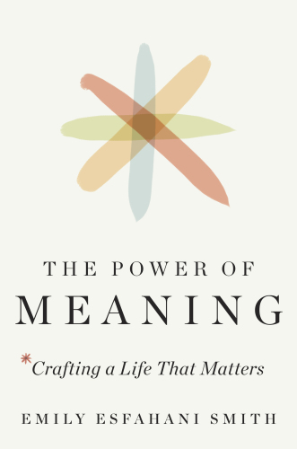 The power of meaning: crafting a life that matters