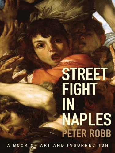 Street fight in Naples: a book of art and insurrection