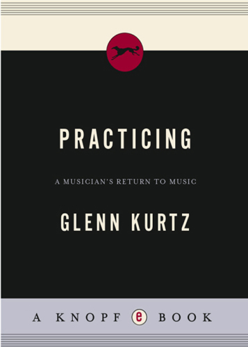 Practicing: a musician's return to music