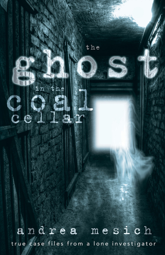 The ghost in the coal cellar: true case files from a lone investigator