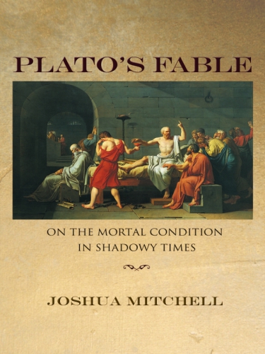 Plato's Fable: On the Mortal Condition in Shadowy Times