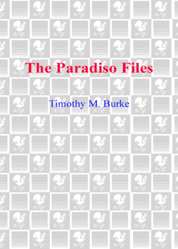 The Paradiso files: Boston's unknown serial killer