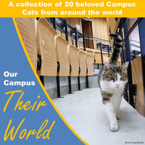 Our Campus Their World