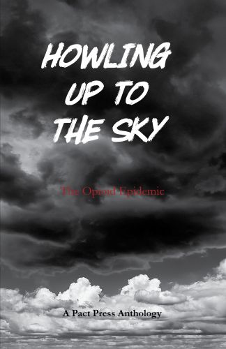 Howling Up to the Sky: the Opioid Epidemic