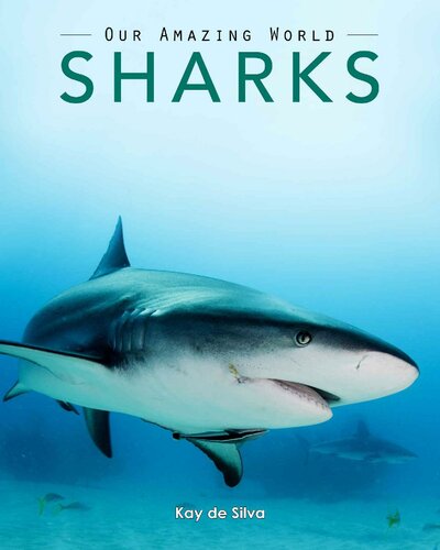 Sharks : Amazing Pictures & Fun Facts on Animals in Nature: / Our Amazing World Series Book 5