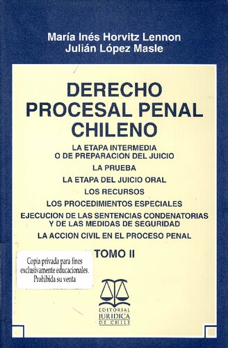 Derecho procesal Penal Chileno. Tomo II