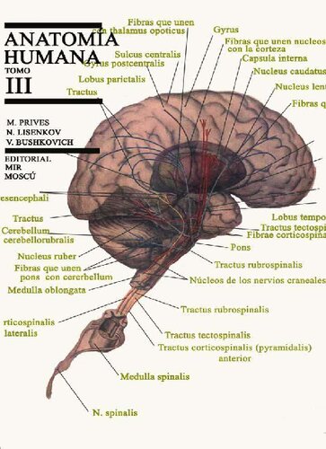 Anatomia Humana