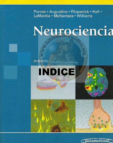 Neurociencia