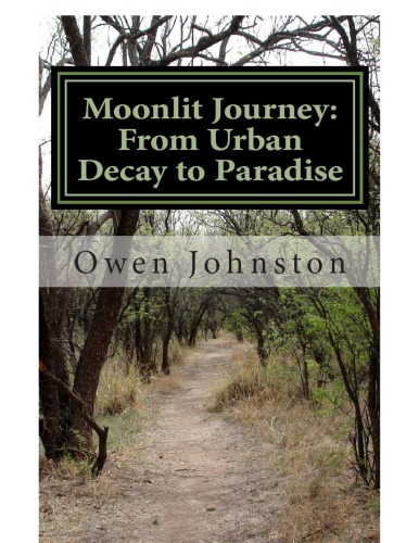 Moonlit Journey: A Dimly Lit Quest Through Urban Decay