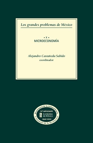 Los Grandes Problemas De Mexico 10