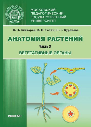 Анатомия растений