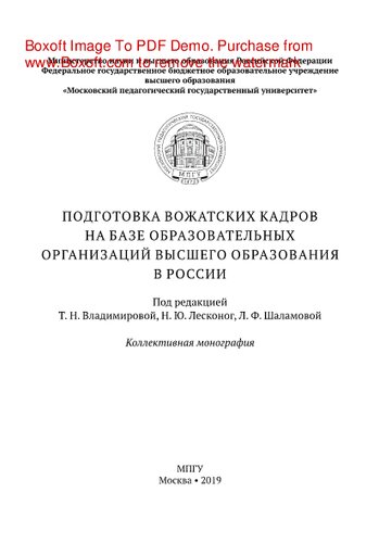 Подготовка вожатских кадров на базе образовательных организаций высшего образования в России. Коллективная монография