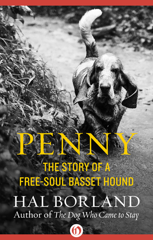 Penny: The Story of a Free-Soul Basset Hound