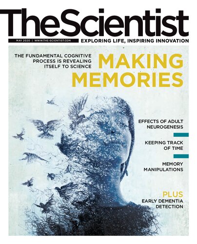 The Scientist