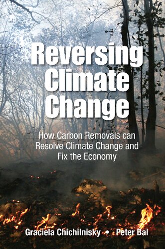 Reversing Climate Change: How Carbon Removals Can Resolve Climate Change and Fix the Economy