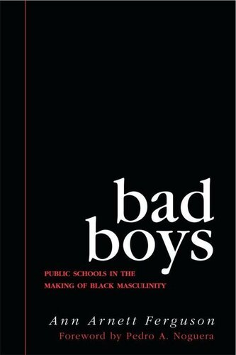 Bad Boys (Law, Meaning, And Violence)