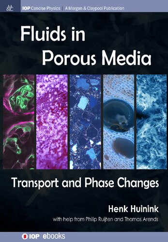 Fluids in Porous Media