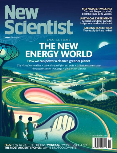 New Scientist