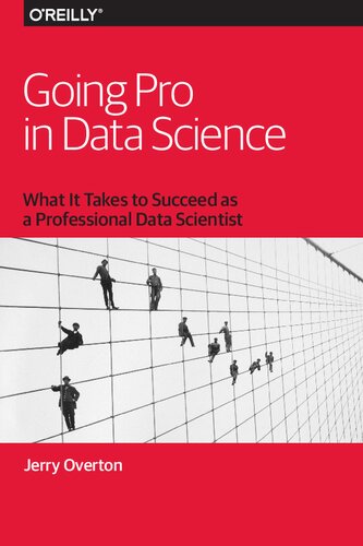 Going Pro in Data Science: What It Takes to Succeed as a Professional Data Scientist