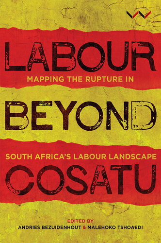 Labour Beyond Cosatu: Mapping the Rupture in South Africa's Labour Landscape