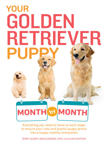 Your Golden Retriever Puppy Month by Month: Everything You Need to Know at Each Stage to Ensure Your Cute and Playful Puppy Grows into a Happy, Healthy Companion