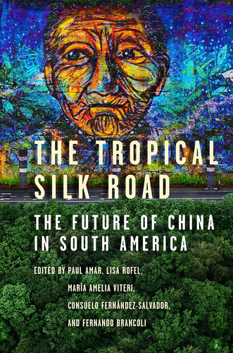 The Tropical Silk Road: The Future of China in South America