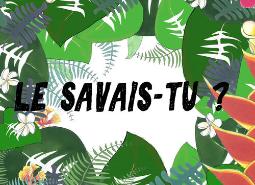 Le savais-tu?