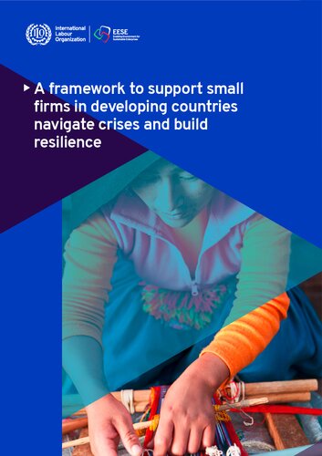 A Framework to Support Small Firms in Developing Countries Navigate crises