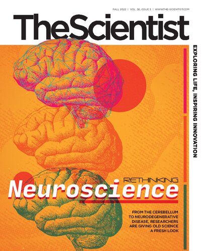 The Scientist