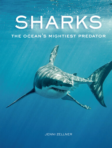 Sharks: The Ocean's Mightiest Predator