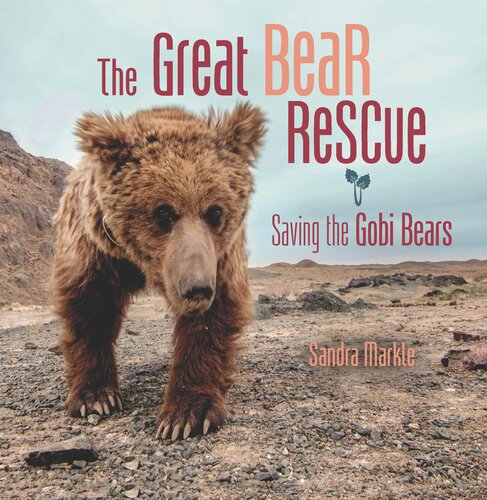 The Great Bear Rescue: Saving the Gobi Bears