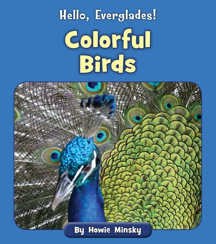 Colorful Birds