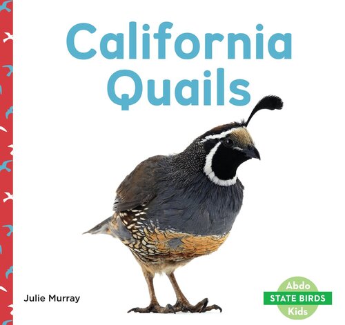 California Quails