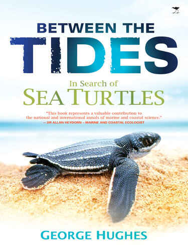 Between the Tides: In Search of Sea Turtles