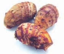 秋季营养食谱(Nutrition Recipes in Autumn)