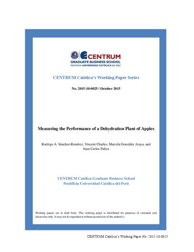 Measuring the Performance of a Dehydration Plant of Apples