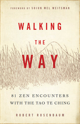 Walking the Way: 81 Zen Encounters with the Tao Te Ching