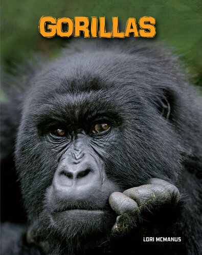 Gorillas
