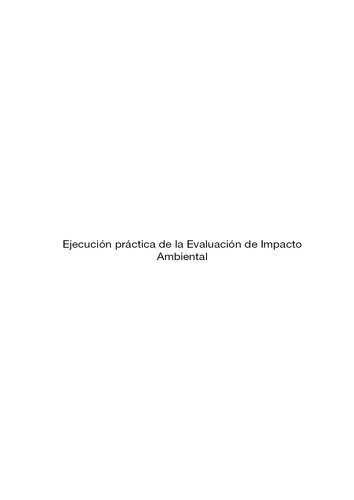 Ejecución práctica de EIA