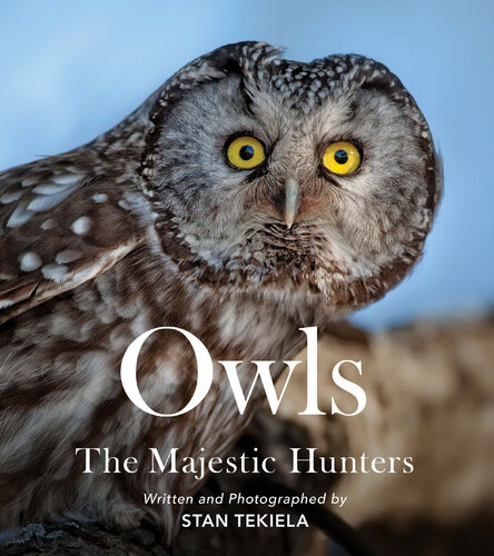 Owls: The Majestic Hunters