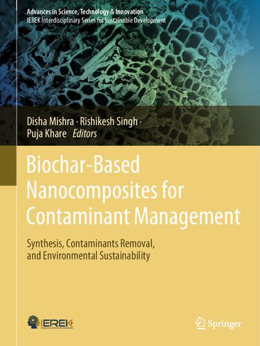 Biochar-Based Nanocomposites for Contaminant Management: Synthesis, Contaminants Removal, and Environmental Sustainability