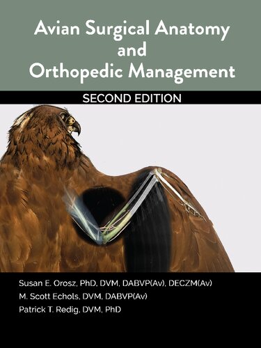 Avian Surgical Anatomy And Orthopedic Management