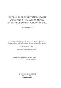 Approaches for Ecosystem Services Valuation for the Gulf of Mexico after the Deepwater Horizon Oil Spill : Interim Report