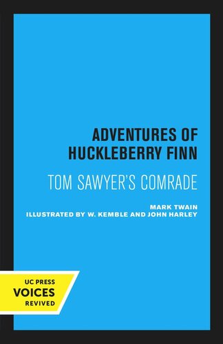 Adventures of Huckleberry Finn, Tom Sawyer’s comrade